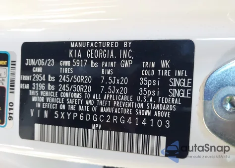 2024 Kia Telluride S from USA, damaged, VIN 5XYP6DGC2RG414103